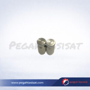 نازل مهپاش برتو ایتالیا